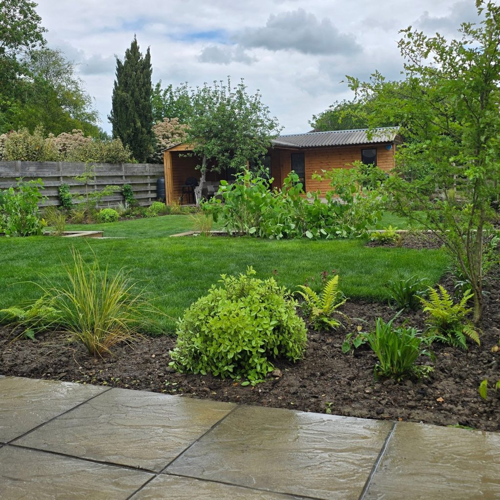Completed garden with new lawn, planted borders and paved terrace