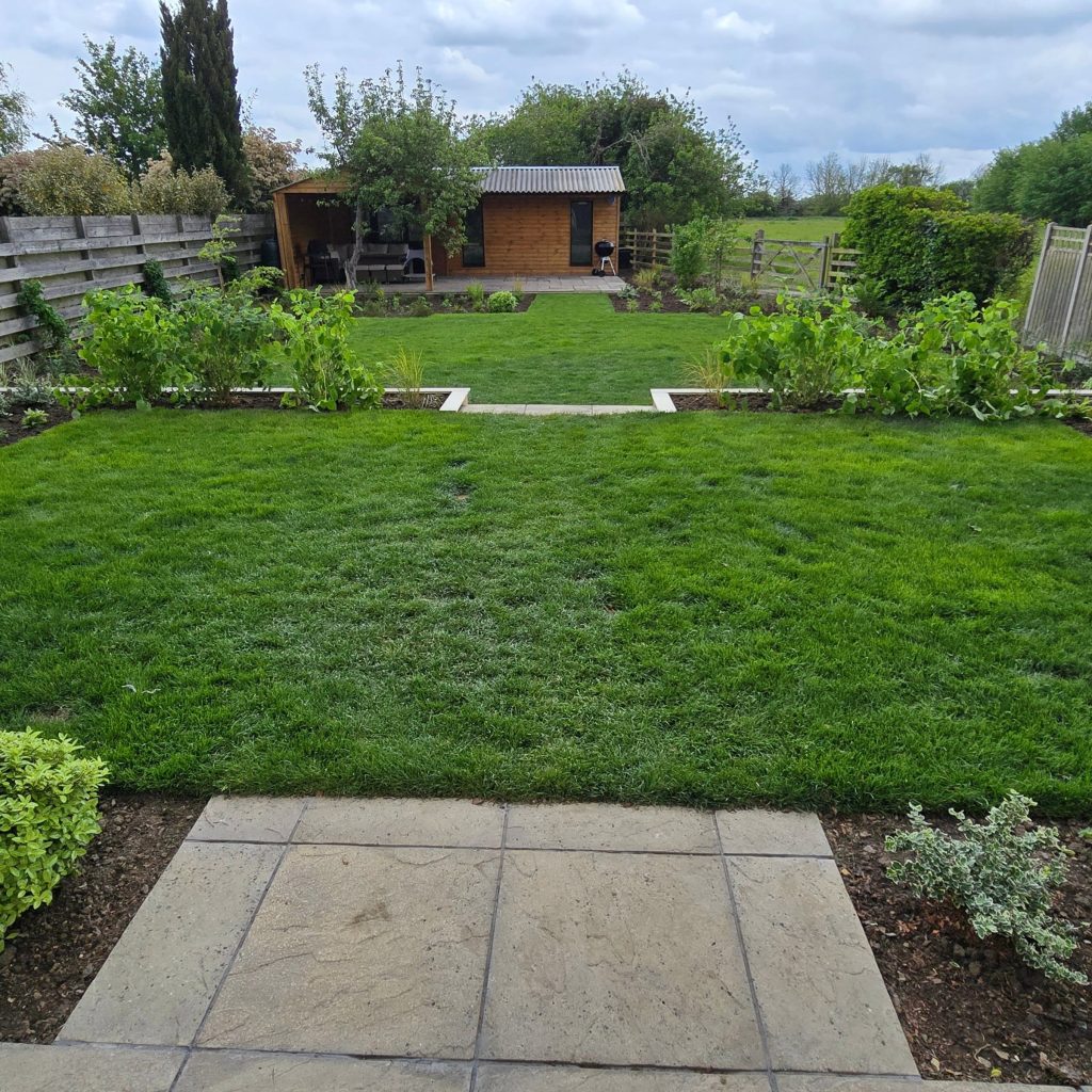 New lawn with paving and planting leading to the garden room