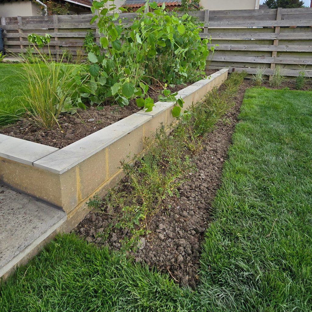 Stone retaining wall with steps and fresh planting