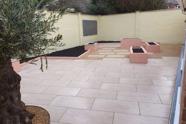 Porcelain paving across the courtyard with an olive tree in a steel planter
