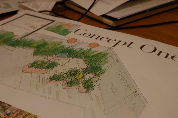 Concept design drawing for the courtyard garden